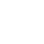 brain icon